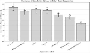 An adaptive recalibrative contextual squeeze-and-excitation self-attention V-Net for kidney tumor segmentation in RCC imaging