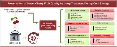 Postharvest L-Arginine treatment reduces senescence and improves storability of sweet cherry during cold storage
