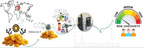 Occurrence and risk assessment of ochratoxin A in Turkish dried grapes: Insights from a two year monitoring study