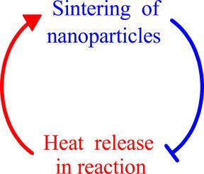 Sintering of catalytic metal nanoparticles under exothermic conditions in a continuous stirred tank reactor