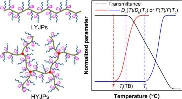 Synthesis and multi-tunable thermoresponsive behaviors of hyperbranched Y-junction-bearing copolymers