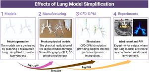 Evaluating the effects of bronchioles simplification on respirable dust deposition: A combined experimental and CFD-DPM analysis approach