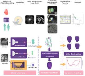 Cardiovascular Magnetic Resonance imaging analysis using neural networks