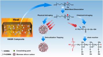 Dual-fillers synergistic strategy for highly efficient anti-aging HNBR composite