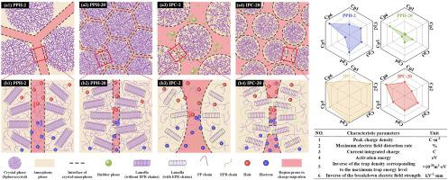 Aggregated structure modulation endows polypropylene copolymer with enhanced dielectric properties for eco-friendly cable insulation