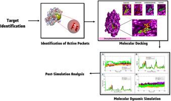 Identification and deciphering novel compounds dynamics against DTYMK: A potential oncogene against pancreatic cancer