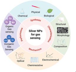 Silver nanoparticles in gas sensing: A comprehensive review of synthesis, mechanisms, performance metrics, and emerging applications