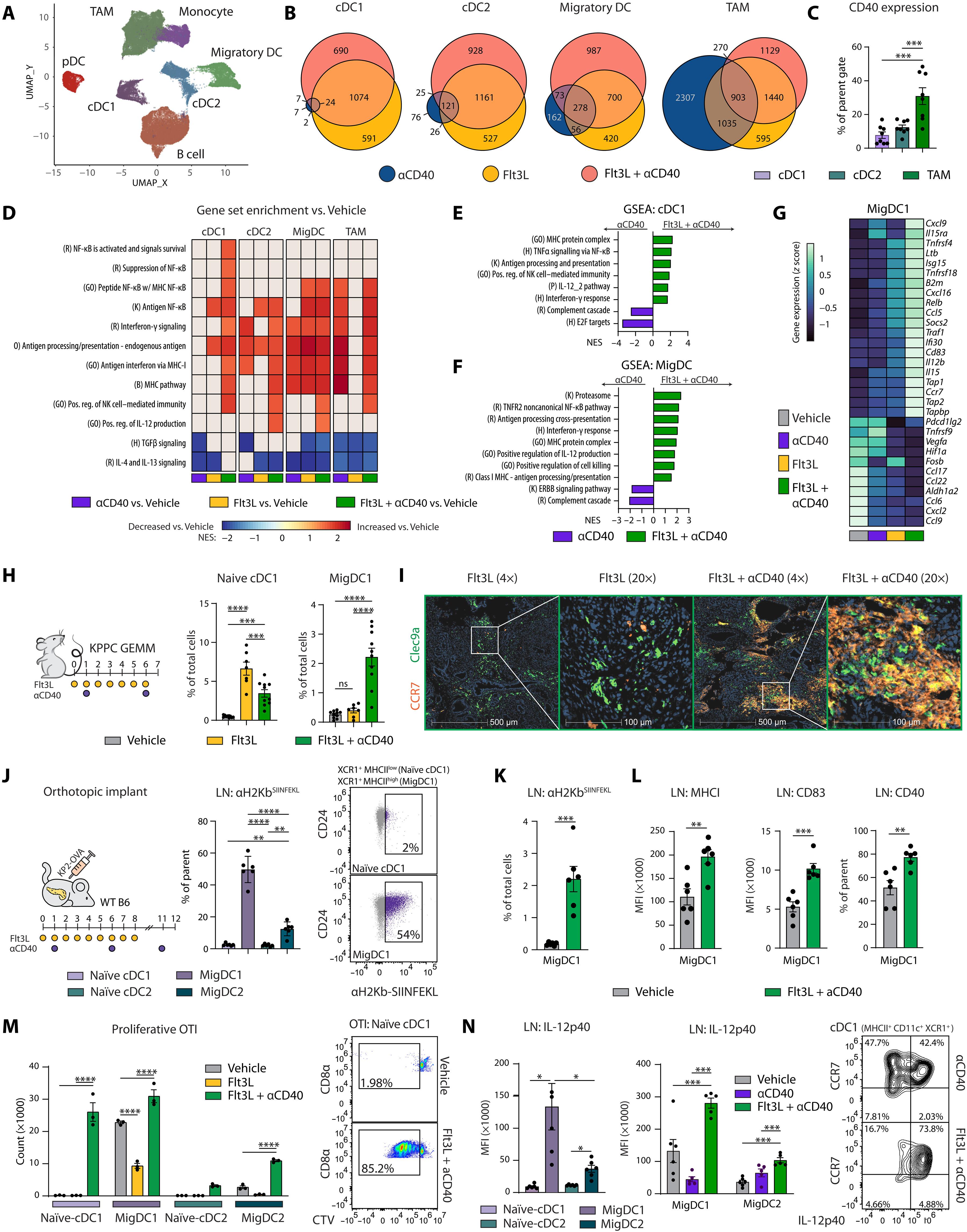 Combined Flt3L and CD40 agonism restores dendritic cell–driven T cell immunity in pancreatic cancer