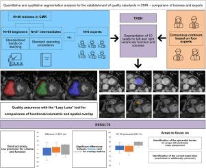 Shaping Quality in Cardiovascular Magnetic Resonance: A Comparative Study of Segmentation Approaches by Trainees and Experts