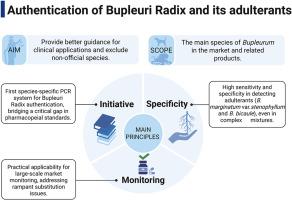 Development of species-specific PCR for authentication of medicinal plant Bupleuri Radix and its common adulterants