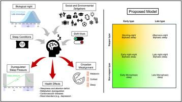 Biphasic sleep and human health: A theoretical paradigm for personalized sleep