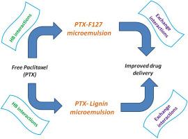 Molecular dynamics, quantum mechanical and semi-empirical investigations of paclitaxel-containing oil-in-water pluronic F127 and lignin microemulsions
