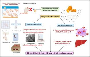 Neuroprotective potential of Hesperidin in Alcohol withdrawal syndrome: A preclinical study in Swiss albino mice