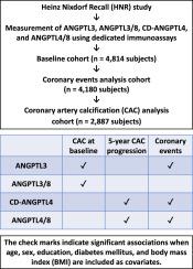 Associations of ANGPTL proteins and complexes with progression of coronary artery calcification and coronary events