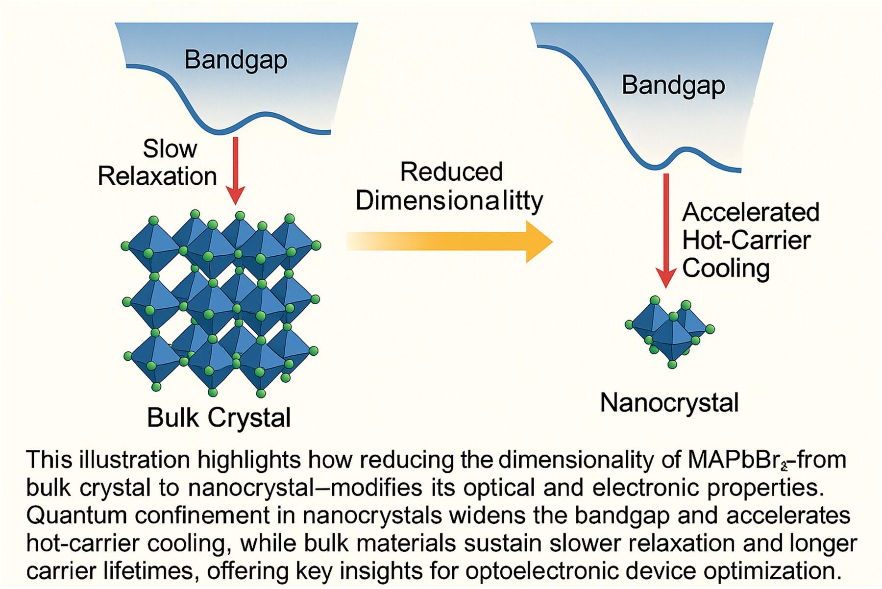 Effect of Geometrical Dimensions on the Structural and Excited State Dynamics in Halide Perovskites