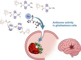 Synthesis, structural characterization, and investigation of anti-glioblastoma activity of copper complexes supported by bis(pyrazol-1-yl)acetate ligands functionalized with memantine