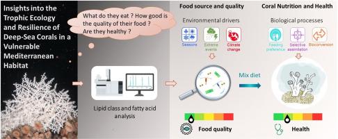 In situ diet patterns and health status of cold-water corals in the Lacaze-Duthiers canyon (NW Mediterranean Sea): insights from fatty acid biomarkers on lipid classes