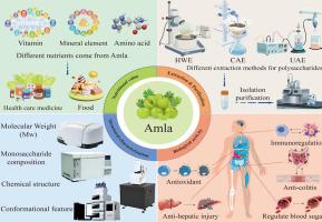 Recent developments in Phyllanthus emblica (amla) fruit polysaccharides: extraction, purification, nutritional values, structural characterizations and biological activities