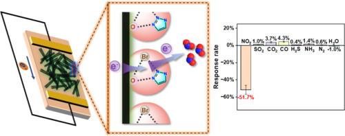 van der Waals heterojunction-based NO2 chemosensor via a synergistic halogen bond site