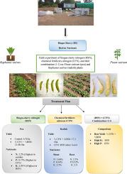 Enhancing agricultural sustainability through the combined use of bio-slurry and chemical fertilizers: Insights from field trials in pea and radish