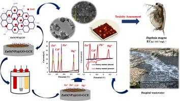 Highly efficient and toxicologically safe ZnO(NP)@GO nanocomposite in the simultaneous detection of Cd²⁺, Hg²⁺, Pb²⁺, and Zn²⁺ in aqueous medium