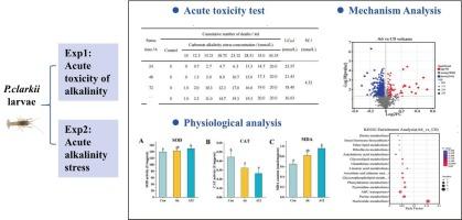Integrated untargeted metabolomics and physiological analysis reveal the response mechanisms of Procambarus clarkii larvae to carbonate alkalinity exposure