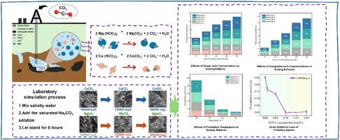 Experimental study on deep CBM well CO2 fracturing scaling:From microscale SEM observation to macroscale scale Inhibition—Ion polarization, thermal activation, and EDTA formulation