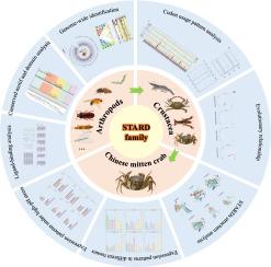 Insights into the STARD family in arthropods: Genome-wide identification, evolutionary analysis and expression patterns