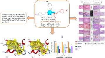 Design and synthesis of new pyridazinone derivatives as selective COX-2 inhibitors: In-vitro and in-vivo evaluation of the anti-inflammatory activity, histopathological studies and molecular modelling