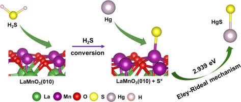 Mechanisms for interactions of H2S and Hg0 with oxygen carrier LaMnO3 during chemical looping combustion: a DFT study