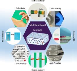 Functionalized Ionogels with self-healing performance: Material design, chemistry aspects, applications, and future prospects