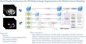 DM-SegNet: Dual-Mamba architecture for 3D medical image segmentation with global context modeling