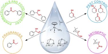 Catalytic isomerization of branched allylic alcohols by water-soluble [RuCp(OH2)(PTA)2](CF3SO3) and [RuCp(OH2)(mPTA)2](CF3SO3)3
