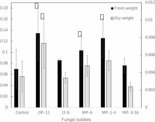 Growth promotion of lettuce (Lactuca sativa) by fungal volatile organic compounds isolated from orchard soils