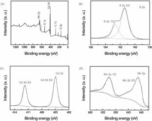 Preparation of Mn0.8Cd0.2S Nanoparticles and their Photocatalytic Behavior for Degradation of Tetracycline in Water