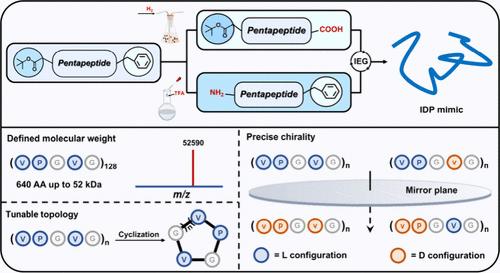 Iterative Synthesis of Intrinsically Disordered Protein Mimics