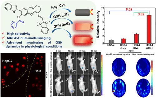 Rational Engineering of Precision-Tuned Fluoro-Photoacoustic Probe for Physiological-Level Glutathione Dynamics Monitoring