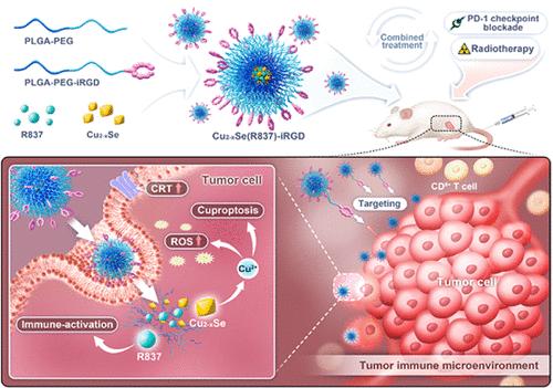 Copper-Induced Cuproptosis and Immunogenic Cell Death Synergize with Radiotherapy and PD-1 Blockade in Osteosarcoma