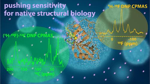 Pushing Sensitivity and Specificity Limits in Native Structural Biology: 19F Multinuclear Dynamic Nuclear Polarization with Magic Angle Spinning