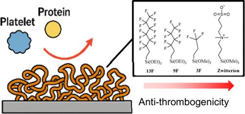 Establishing the Principles for Antithrombogenic Coatings Based on Sol–Gel Films