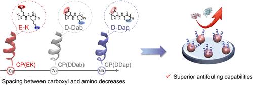 Designing Zwitterionic Peptide with Superhydrophilicity through Carboxyl–Amino Spacing Adjustment for Robust Antifouling Electrochemical Biosensing in Complex Biofluids
