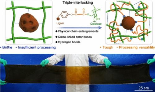 Ultratough, Processable Bioplastics Enabled by Triple Interlocking of Lignin and Cellulose