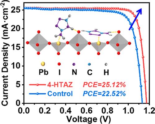Defect Passivation via a Bidentate Anchoring Molecule Enables Efficient and Stable Perovskite Solar Cells