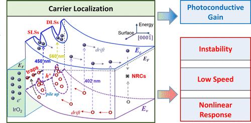 Janus-Faced Carrier Localization with Defect States: A Case Study in InGaN-Based Photodetectors