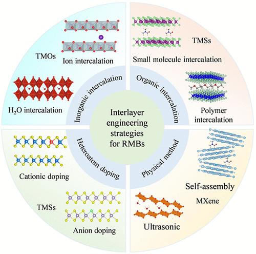 Recent Progress in Interlayer Engineering of Layered Materials for High-Performance Magnesium Ion Batteries