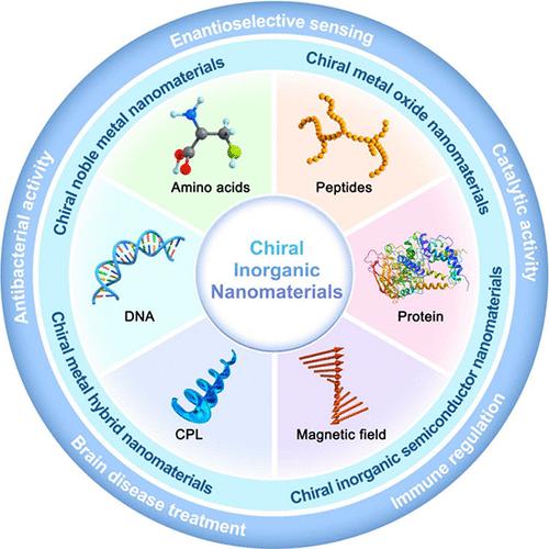 Chiral Inorganic Nanomaterials for Biological Features