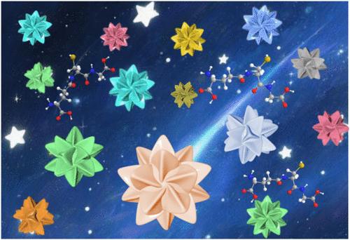 Chiral Symmetry Breaking in Gold Stellated Nanoicosahedrons
