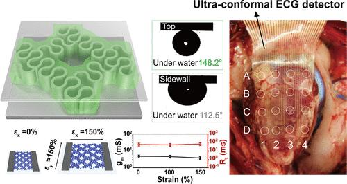 Bioinspired Bubble-Gated Strategy for Integrating a Polymer Fractal Micromesh toward Ultraconformal Electrocardiogram Monitoring