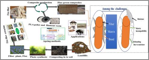A review of flax fiber reinforced polylactic acid composites as green polymeric materials: Ageing properties, sustainability, challenges and future perspectives
