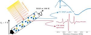 Cryogenic magic-angle spinning continuous wave EPR and DNP spectroscopy at 7 T with a gyrotron